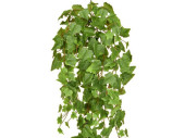 Efeu-Hänger grün L 86cm, schwer entflammbar B1