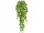 Efeu-Hänger grün L 86cm, schwer entflammbar B1