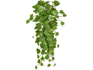 Efeu-Hänger grün L 55cm, schwer entflammbar B1