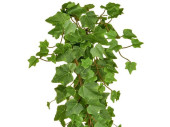Efeu-Hänger grün L 55cm, schwer entflammbar B1
