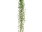 Bohnengras-Hänger hellgrün, L 166cm, schwer...