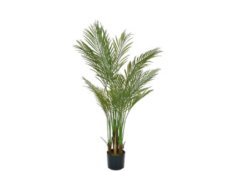 Palme Areca getopft grün, H 150cm, schwer entflammbar B1, UV-beständig