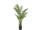 Palme Areca getopft grün, H 150cm, schwer entflammbar B1, UV-beständig