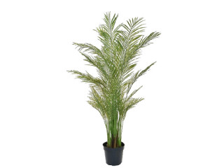 Palme Areca getopft grün, H 180cm, schwer entflammbar B1, UV-beständig