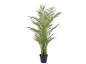 Palme Areca getopft grün, H 180cm, schwer...