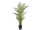 Palme Areca getopft grün, H 180cm, schwer entflammbar B1, UV-beständig