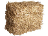 Strohballen XL Naturstroh natur, 40 x 50 x 60cm