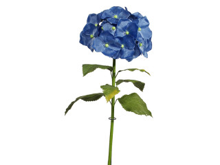 hortensia XL 135cm bleu