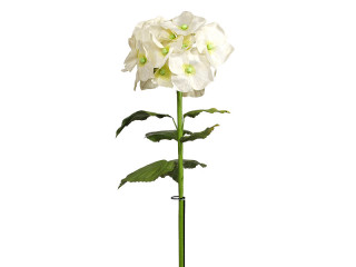 hortensia XL 135cm blanc
