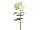 hydrangea XL 135cm white