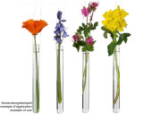 Reagenzglas-Set Ø 2 x H 20cm, 12 Stück, mit 2...
