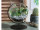 Glas-Globus auf Metallständer Ø 15cm, H 21cm