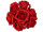 Rosenköpfe "Foam" rot Ø 6cm, 42 Stück
