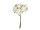 Rosenköpfe "Foam" weiss Ø 3cm, 84 Stück