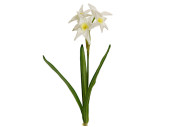 Osterglocke / Narzisse 40cm, weiss, mit Blätter und 4 Blüten