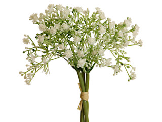 Schleierkraut-Bund weiss 27cm 3-tlg.
