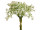 Schleierkraut-Bund weiss 27cm 3-tlg.