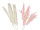 Pampasgras-Wedel 3er Bund, ca. 100 - 135cm, versch. Farben