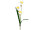 Osterglocke / Narzisse 57cm, mit 3 Blüten, weiss