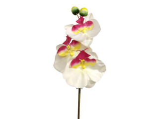 orchid XXL 135cm white
