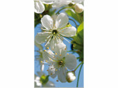 Textilposter Blüten weiss "Monikal" 170 x...