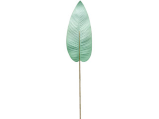 Canna-Blatt "Color" L 100cm mint