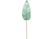 Canna-Blatt "Color" L 100cm mint