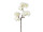 Kirschblütenzweig 43cm, weiss