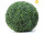 Buchskugel "Topiary" Ø 50cm UV-geschützt