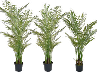 Palme Areca getopft grün, schwer entflammbar B1, UV-beständig, versch. Grössen