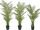 Palme Areca getopft grün, schwer entflammbar B1, UV-beständig, versch. Grössen