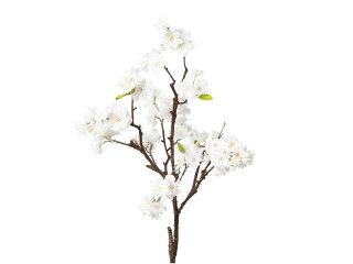 Kirschblütenzweig 84cm weiss
