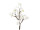 Kirschblütenzweig 84cm weiss