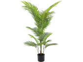 Areca-Palme getopft H 120cm