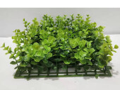 boxwood panel 28 x 28 cm tall / wild