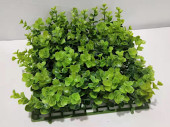 boxwood panel 28 x 28 cm tall / wild