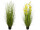 Schilfgrasbusch "mit Blüte" H 150cm, Ø 80cm, versch. Farben