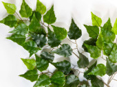 Birkenzweig grün L 65cm 56 Blätter