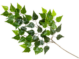 Birkenzweig grün schwer entflammbar L 65cm 56 Blätter