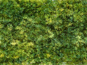 Moosplatte grün schwer entflammbar 25 x 50cm