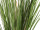 Grasbüschel H 85cm schwer entflammbar
