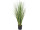 Grasbusch H 80cm getopft schwer entflammbar