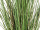 Grasbusch H 80cm getopft schwer entflammbar