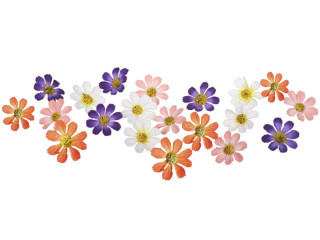 Streublüten "Wildblüten" bunt gemischt Ø 5cm, 20 Stück