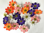 Streublüten "Wildblüten" bunt gemischt Ø 5cm, 20 Stück