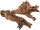 Wurzel-Stück natur 30 -40cm