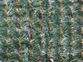 Tannengrün-Teppich grün B 1m, Ø 9cm,...