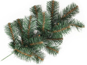 Tannengrün-Zweig klein grün L 40cm, 14 Spitzen...