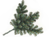 Tannengrün-Zweig gross grün L 80cm, 60 Spitzen...