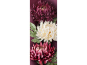 Textilbanner 3 Chrysantheme 75x180cm, lila/weiss...